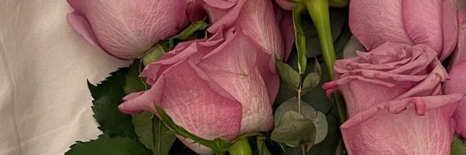 FF81207910's profile banner image