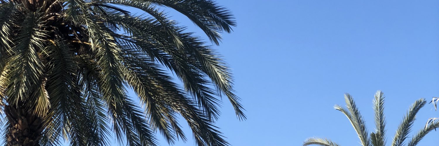 devasalg's profile banner image