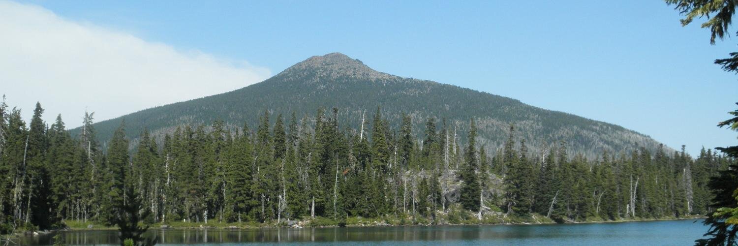 Jonathan Ellsworth banner