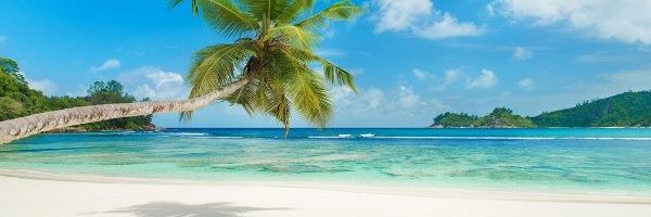 العميد المونديالي🖤💛👑 banner