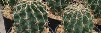 aumserm1990's profile banner image