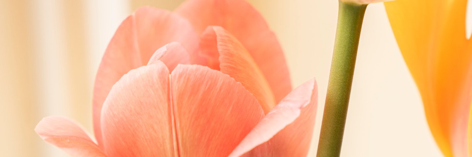 DebHysterical's profile banner image