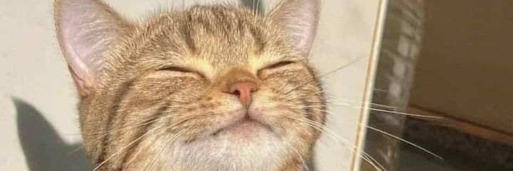 CarooGarciar's profile banner image