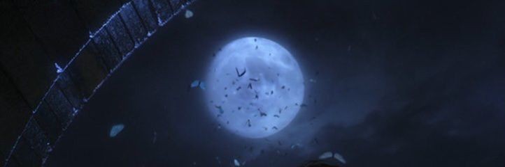 magiciansflower's profile banner image
