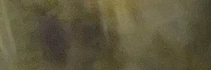 Saradsinco's profile banner image