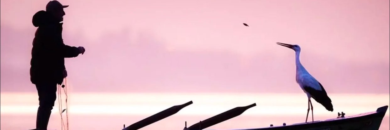BLNTDNR's profile banner image
