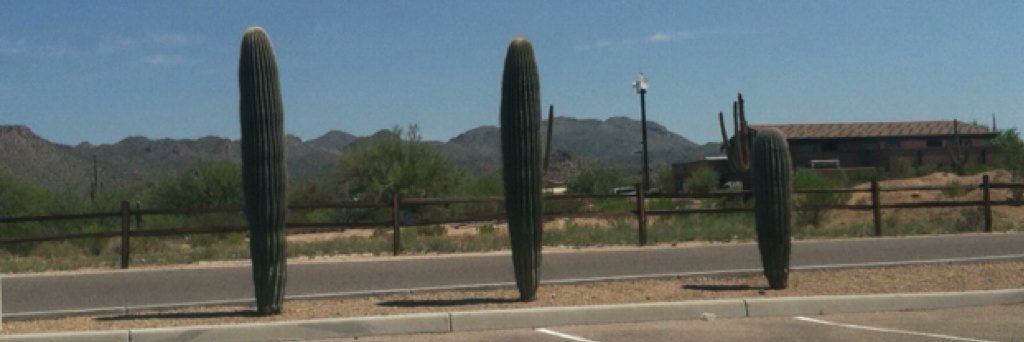 tucsonbeer's profile banner image