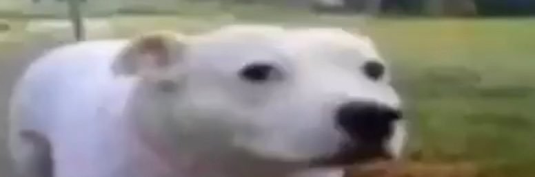 ishroomie's profile banner image
