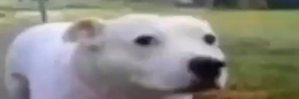 ishroomie Profile Banner