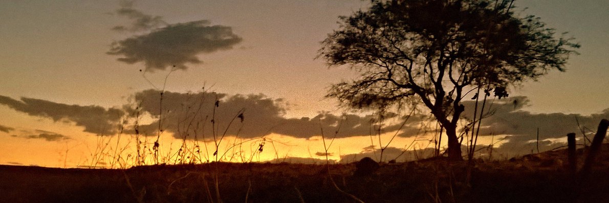 FelipeMacia1's profile banner image