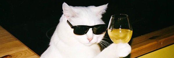 Fangfcengfa Profile Banner