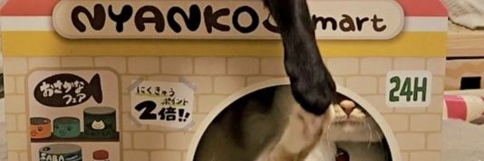 YOU_TTY banner