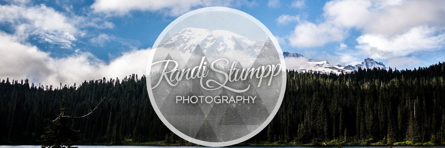randiandcamera's profile banner image