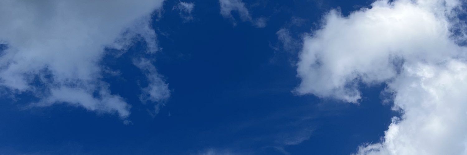 lemona__de_'s profile banner image