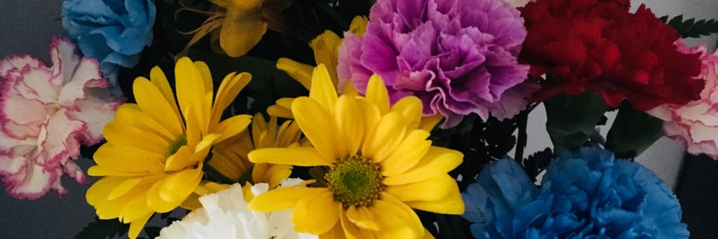 christineddy's profile banner image