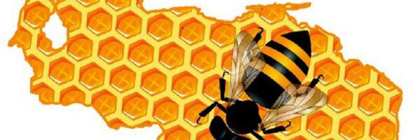 rommelrrz's profile banner image