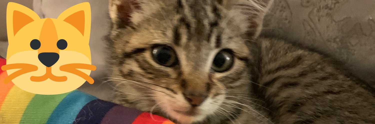 heatherlite's profile banner image