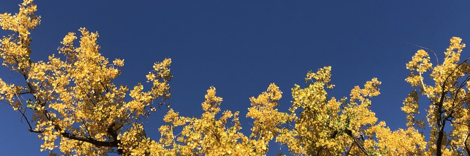 Armi Kaipainen 🇺🇦🇨🇦🇫🇮 banner