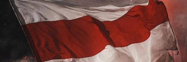 nattrosch's profile banner image