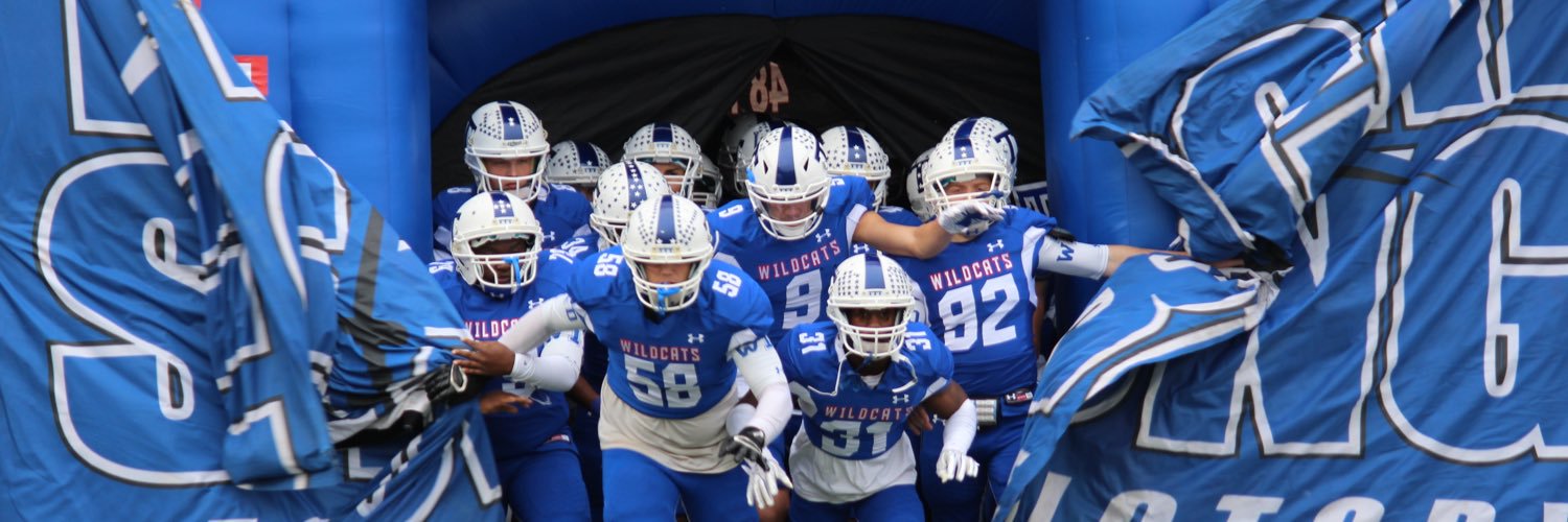 Temple Wildcats Profile Banner