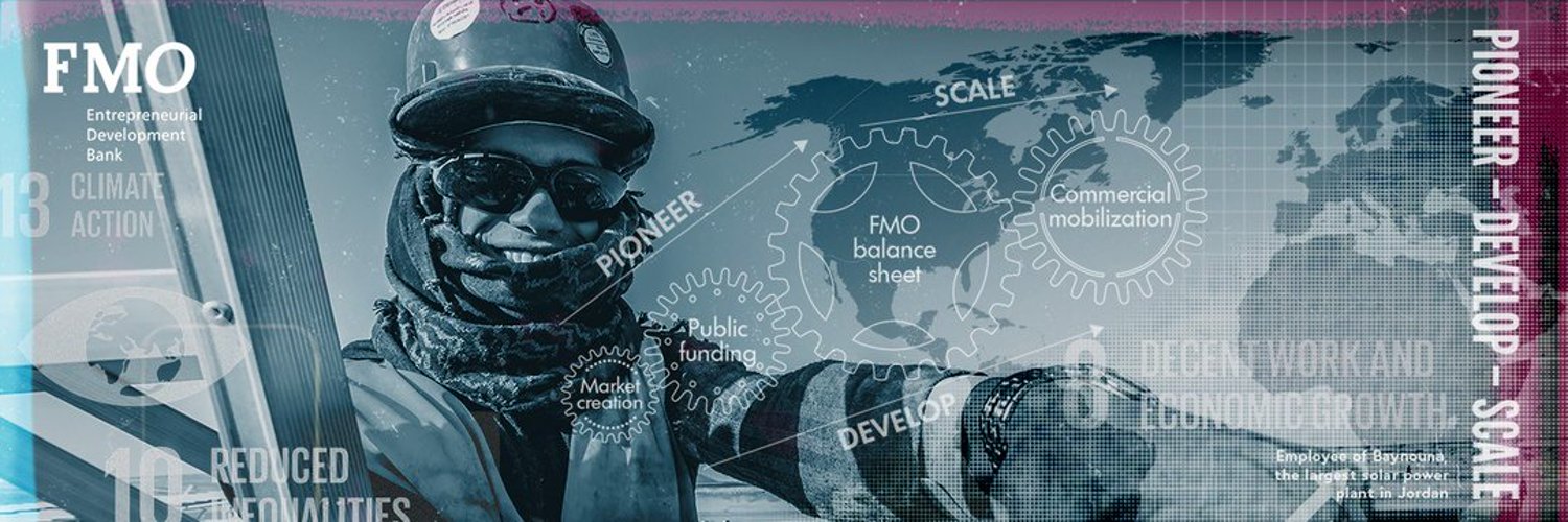 FMO - Dutch entrepreneurial development bank banner