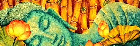 knm banner