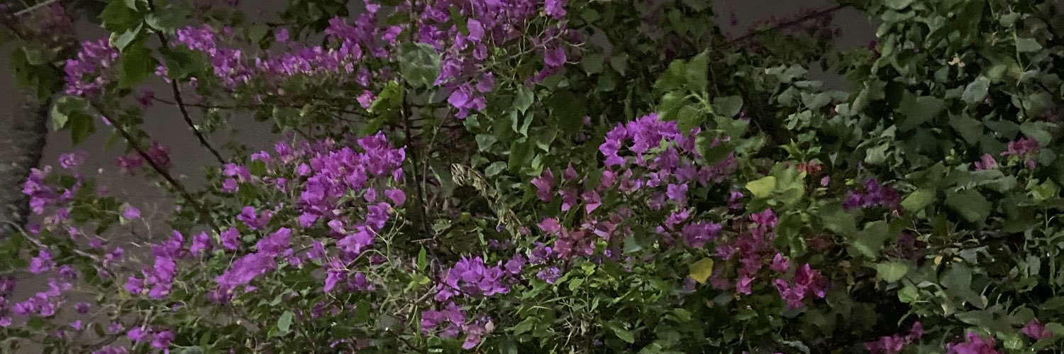 همزة banner