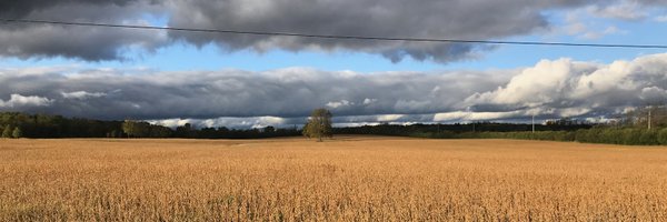 jenf Profile Banner