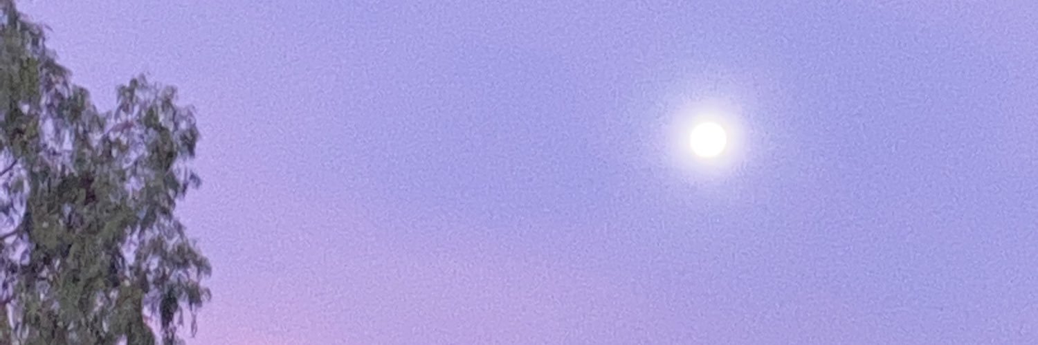 Notsickyea's profile banner image