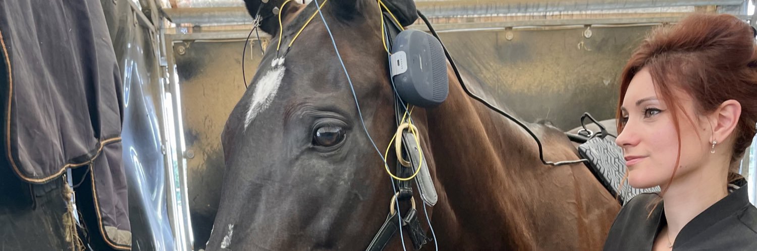 Maeva Campergue NEUROMIRROR banner