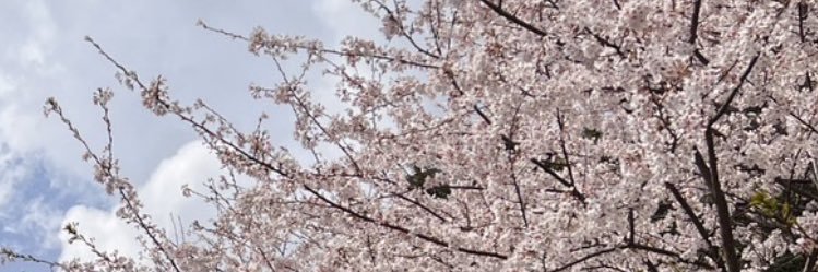 トパーズ晶年 banner