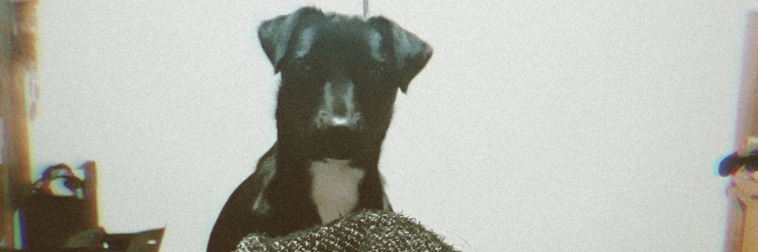 AylemSofia's profile banner image