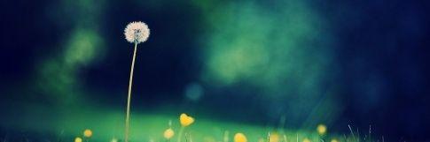 NGnh94's profile banner image