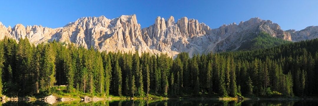 PeggyBarozzi's profile banner image