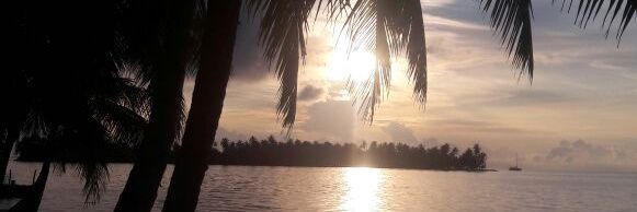 SolanoAparicio's profile banner image