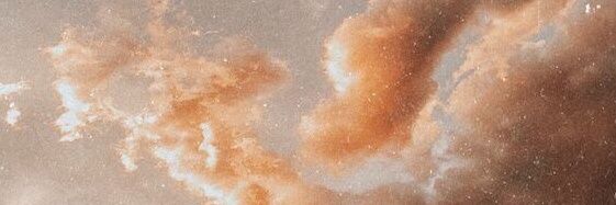 aves | future maxi ❤️ Memeland #WomenInNFTs banner