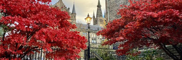 Zhaohan_Meng Profile Banner