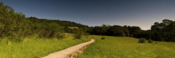 generikal Profile Banner