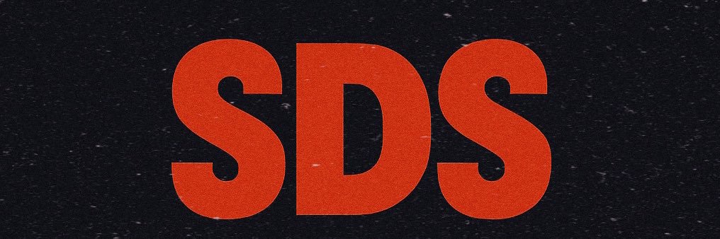 🅢🅓🅢🥊's banner