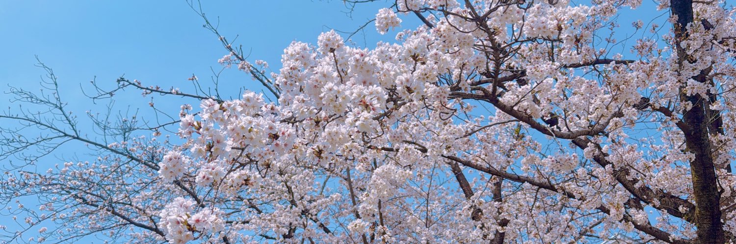 まえのうえ banner