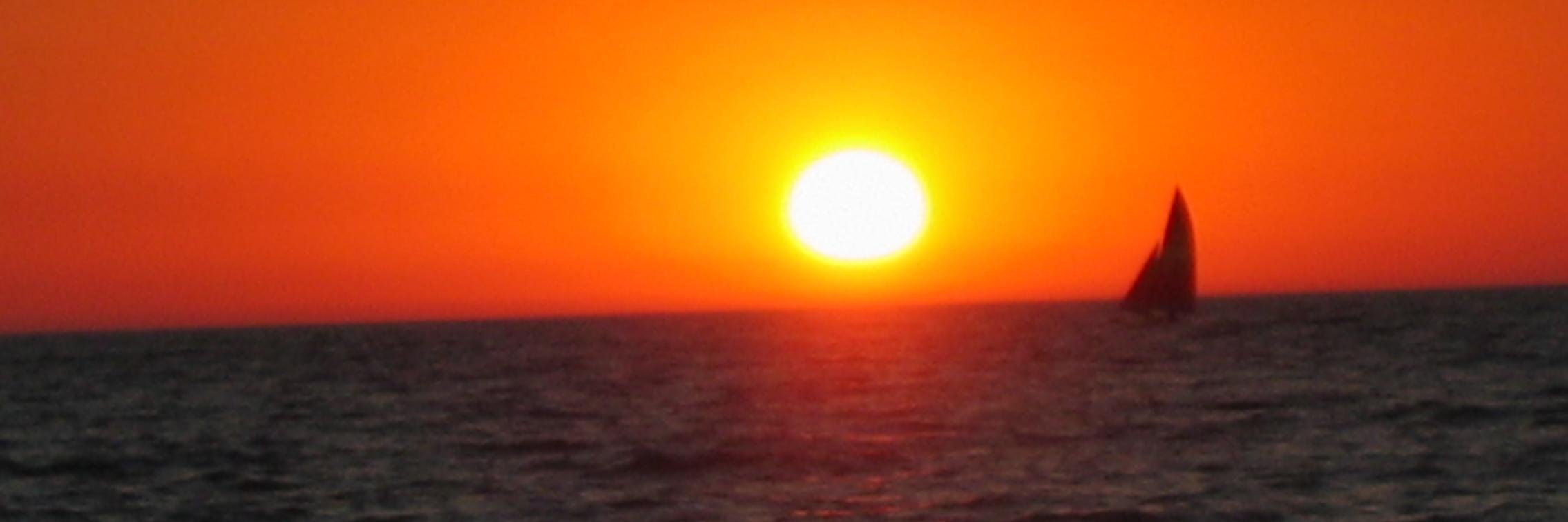 amandalizon's profile banner image