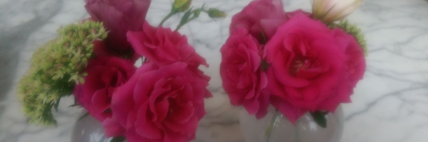 MelissaCade's profile banner image