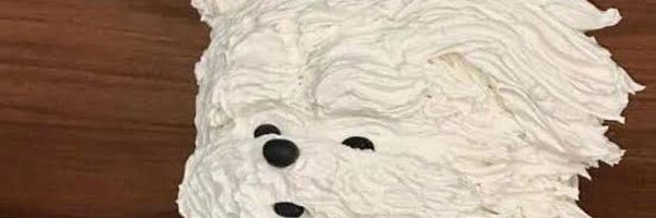 somnuaydoi Profile Banner