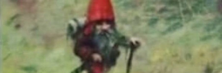 Quietdwarf's profile banner image