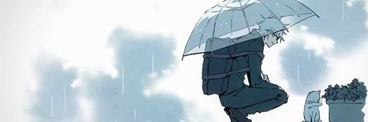 cha •°. banner
