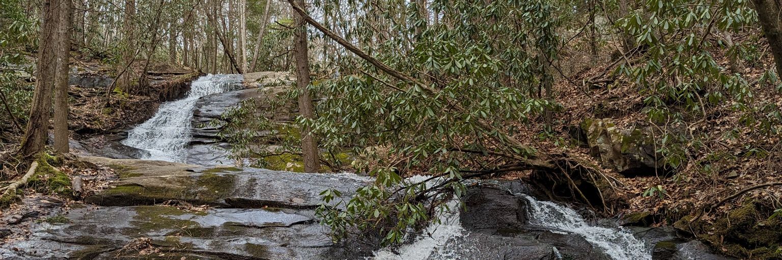 Michelle Garrison banner