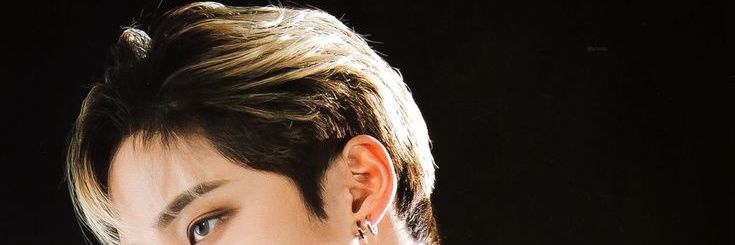 Ecio Ricker banner