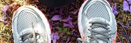 Holly Perez banner