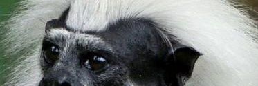 andresPR1's profile banner image