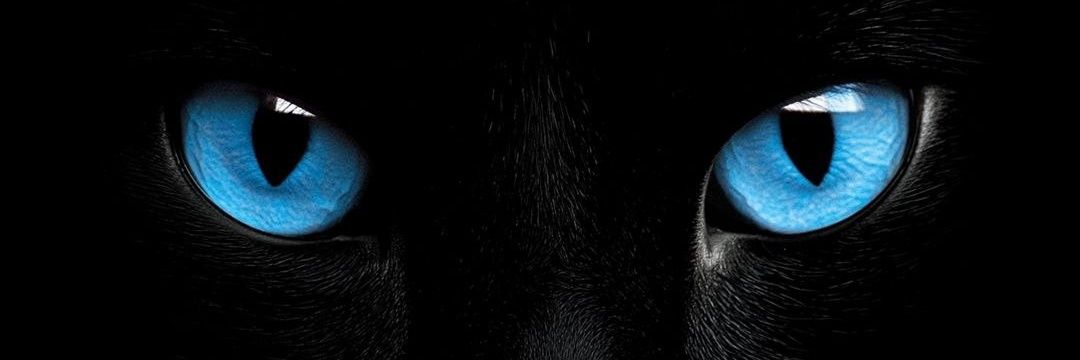 Li_ProskCoin's profile banner image